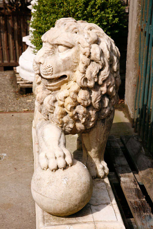 A pair of carved marble lions 1