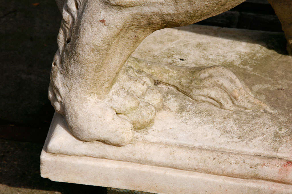 A pair of carved marble lions 3