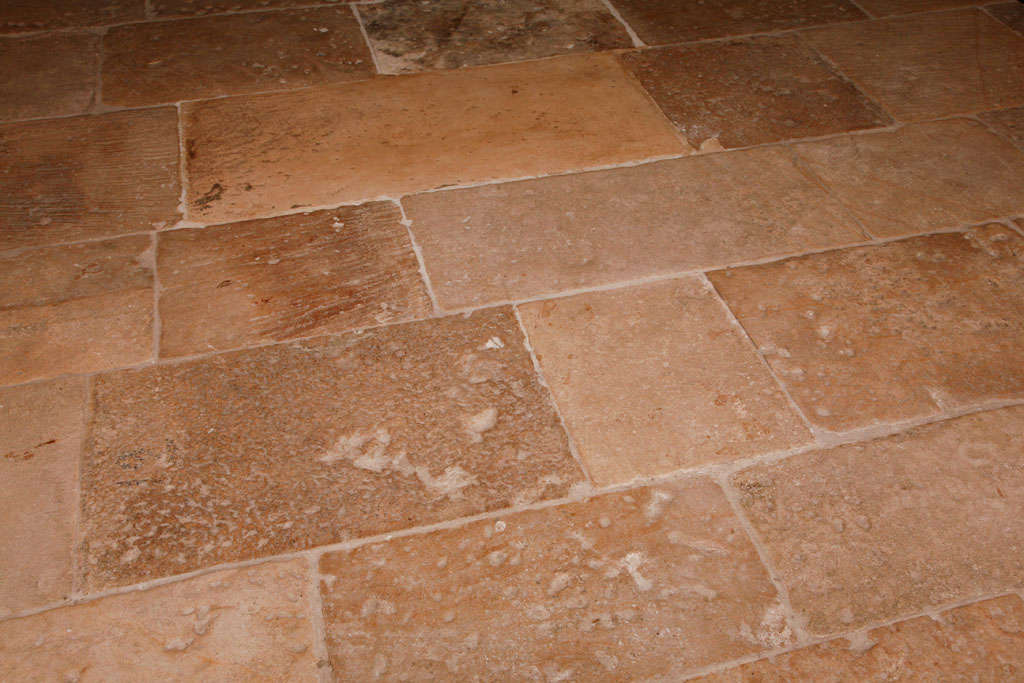 Country Antique French Burgundian floor tiles