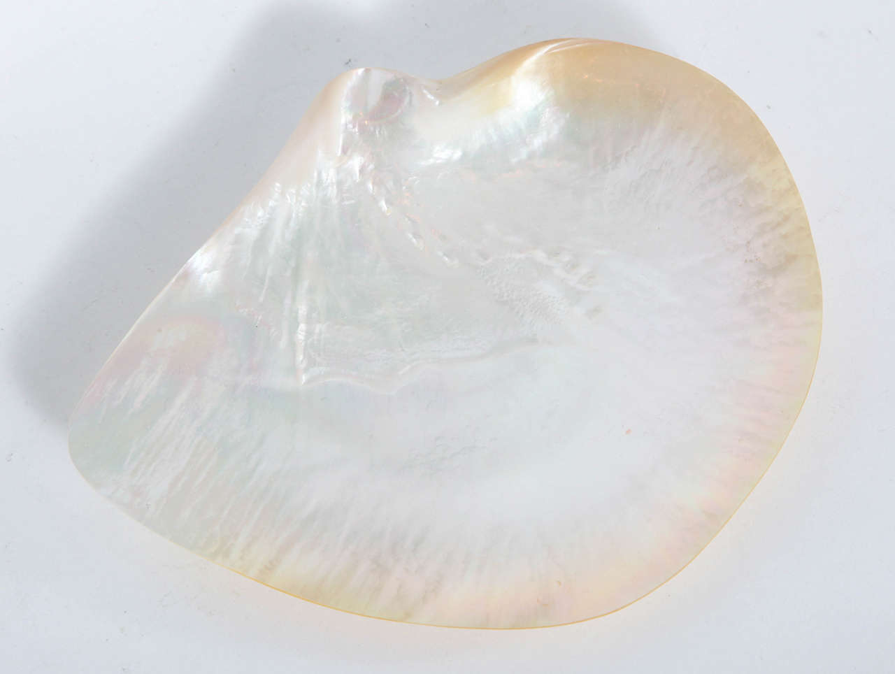 Other Mother of Pearl Caviar Dish