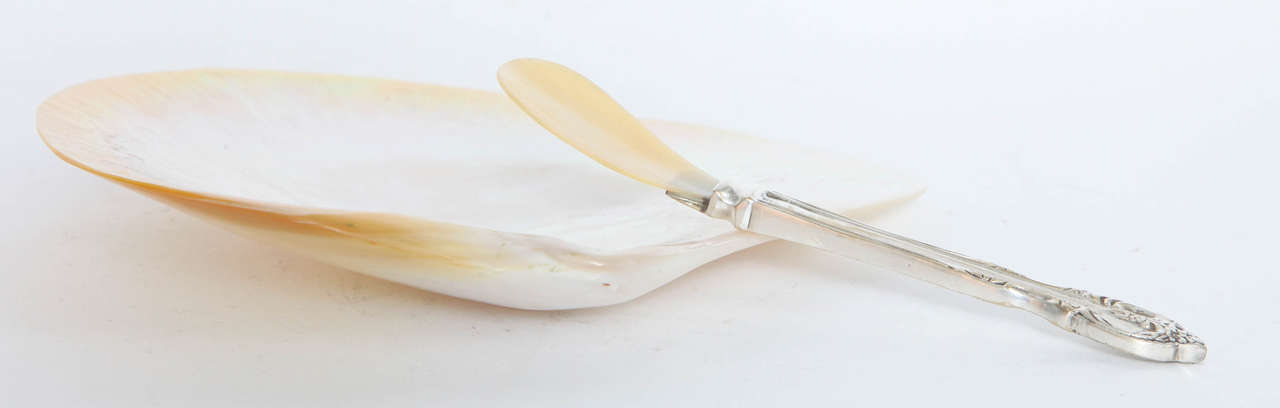 Mother-of-Pearl Mother of Pearl Caviar Dish