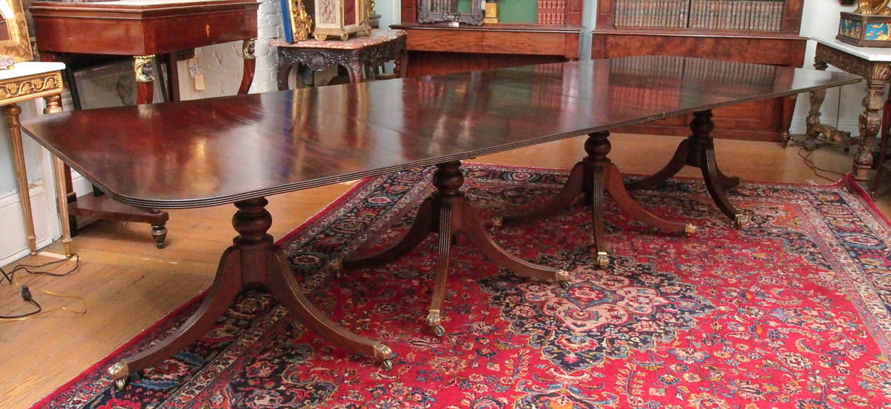 Exceptionally large four pedestal George III dining table of mahogany with to units (the end ones) with three splayed legs and the two central ones with four splayed legs. They have iron spyders and original bronze paw feet with casters. Each