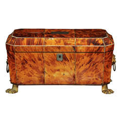 Georgian Tortoise Shell Tea Caddy