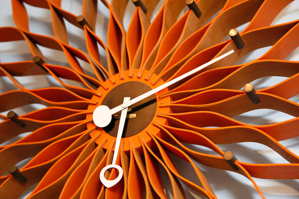 Sunflower 4