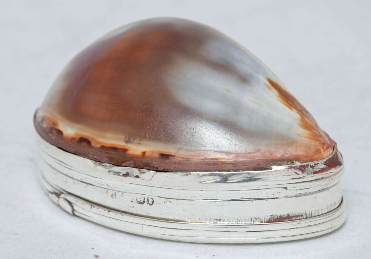 Georgian Sterling Silver-Mounted Cowrie Shell with Hinged Lid Snuff Box