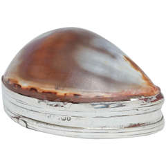Antique Georgian Sterling Silver-Mounted Cowrie Shell with Hinged Lid Snuff Box