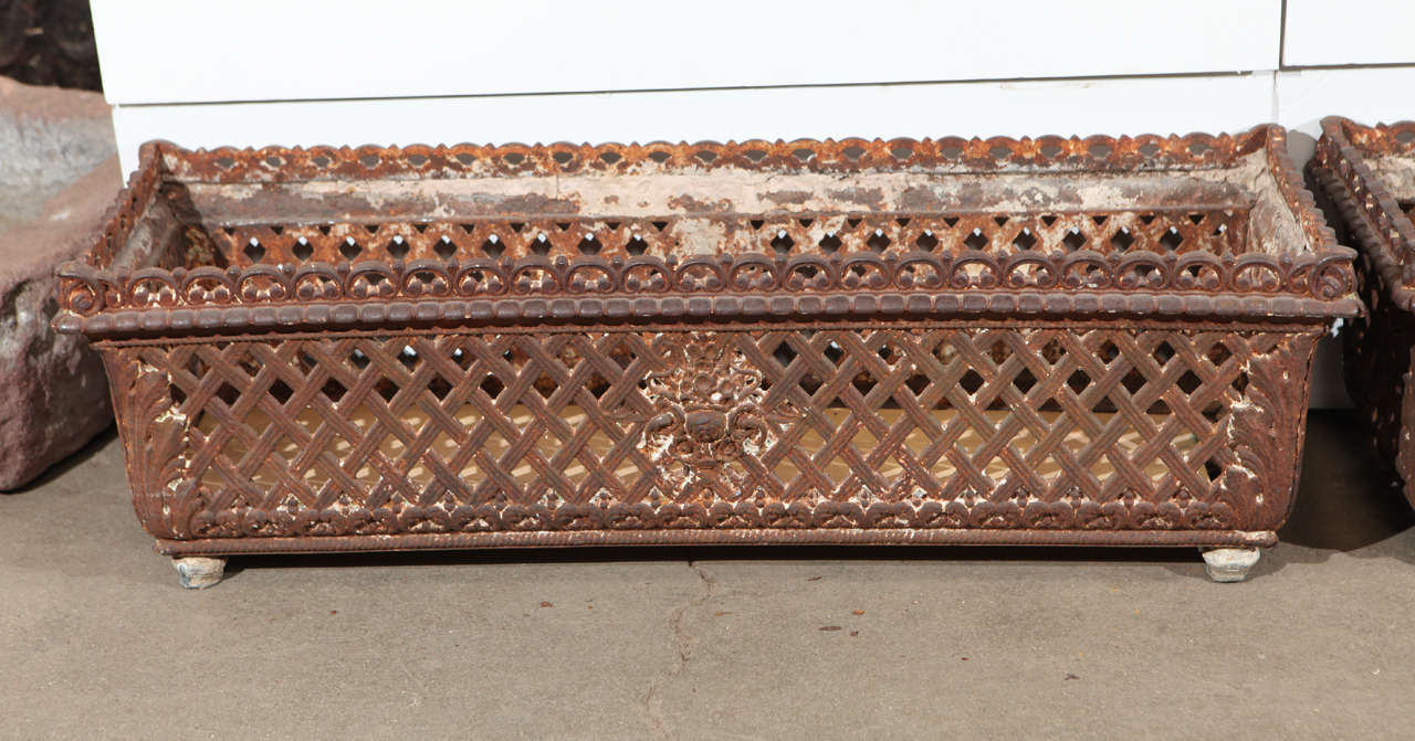 French Iron Trough