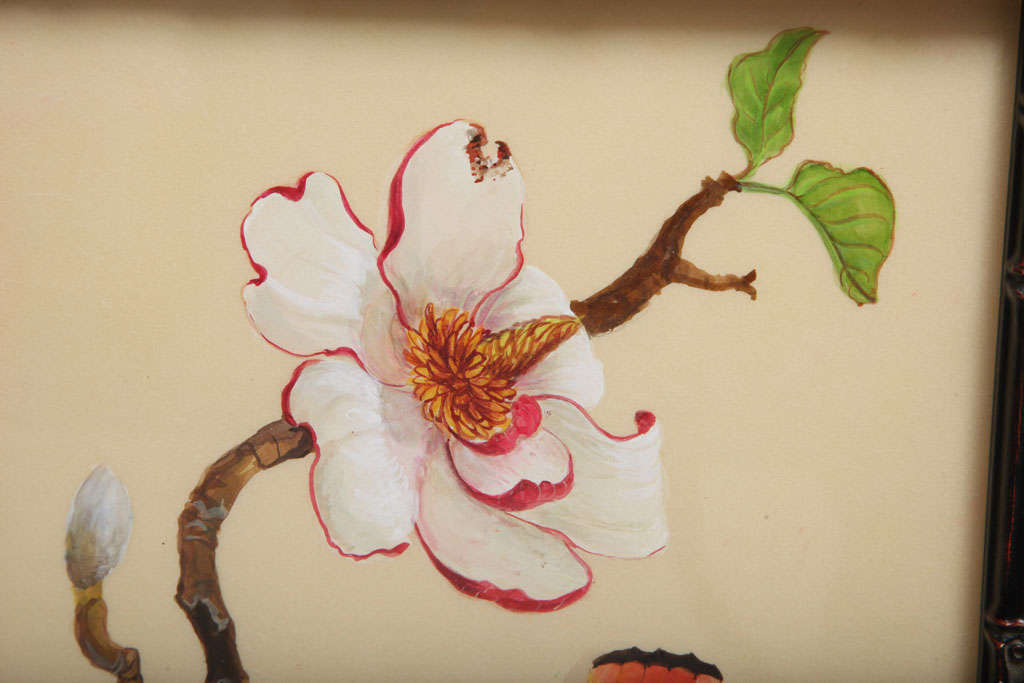 American Study of Two Magnolias and a Butterfly by Anna Chiara Branca