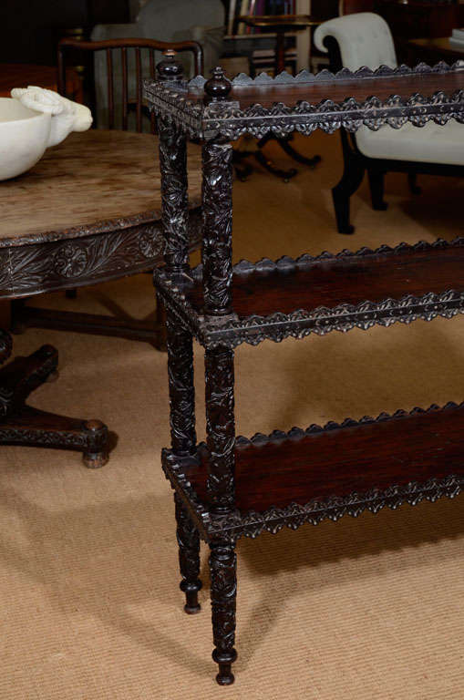 19th Century Anglo-Indian Carved Rosewood Etagere/Book Shelf 8