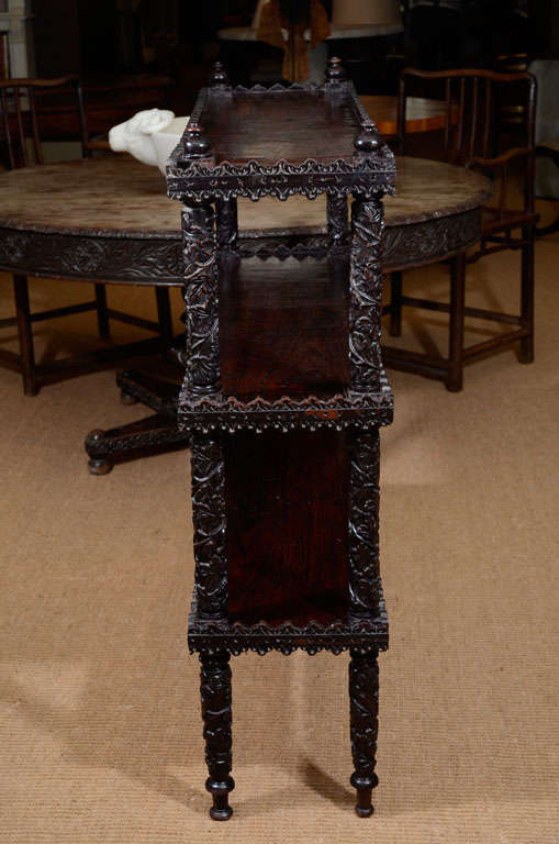 19th Century Anglo-Indian Carved Rosewood Etagere/Book Shelf 5