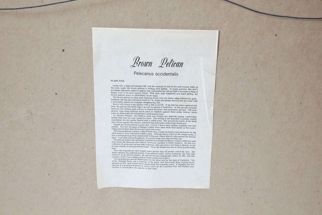 Braune braune Pelikanlithographie, signiert (20. Jahrhundert) im Angebot