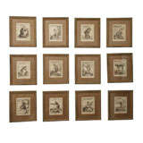 Set of 12 Early Engravings of Monkeys