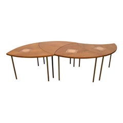 Peter Hvidt Nesting Tables by France and Sons.
