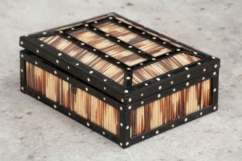 Anglo-Indian Porcupine Quill box 5