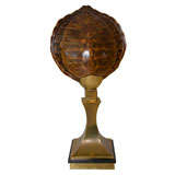 Monumental Hand Polished Tortoise Shell Lamp