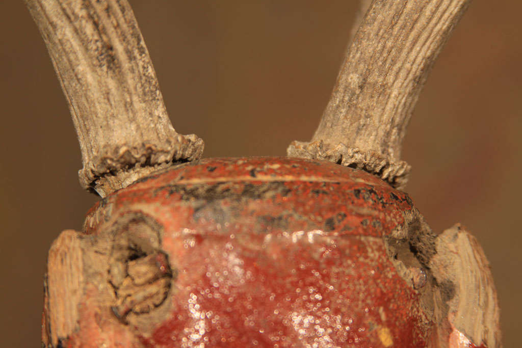 Burmese Carved Wood Nat Head with Antlers 6