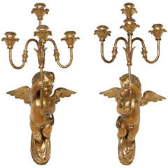 Antique Pair of Carved Giltwood Wall Lights