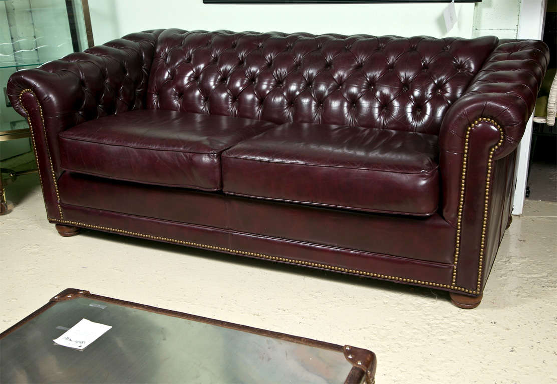 A very comfortable Cordovan Leather Chesterfield having two cusions and a tuffted back and sides. Sitting on bun feet. The front decorated with brass tacks.
