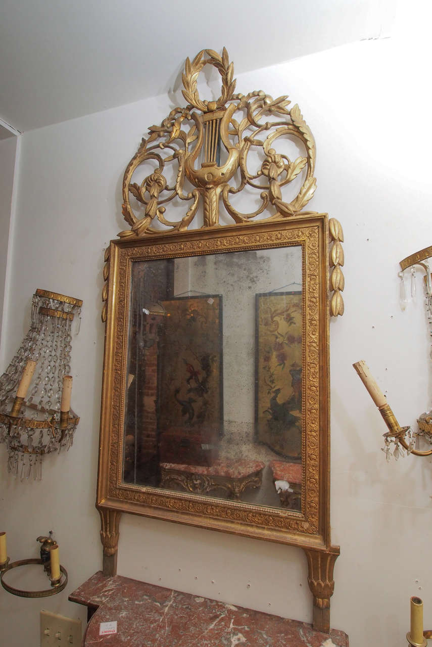 Giltwood Trumeau with Beautiful Lyre Trophy