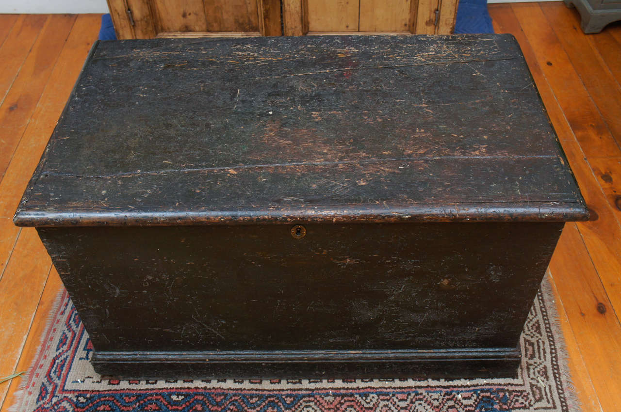 19th Century Large Painted Blanket Box