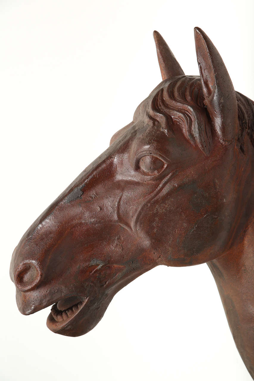 cast iron horse head wall mount