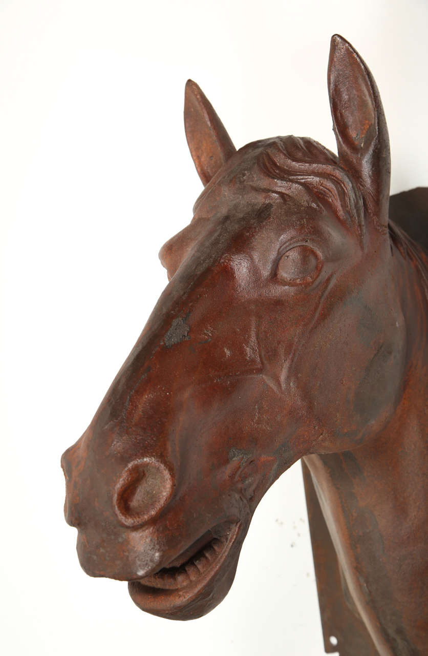cast iron horse head for sale
