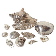 Sterling Silver Plated Natural Shells