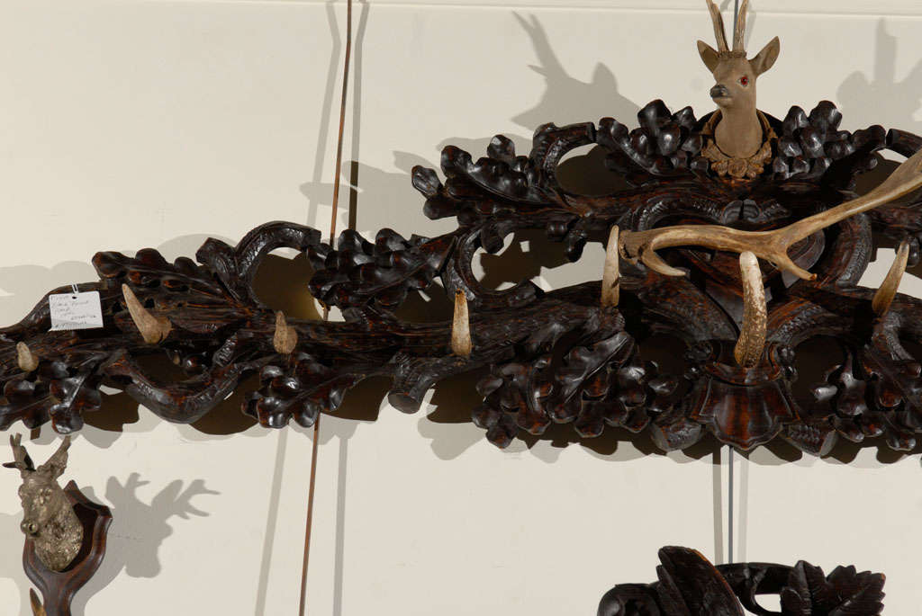 Black Forest Carved Coat & Hat Rack with Deer Carving & Antlers from the 1900s 5