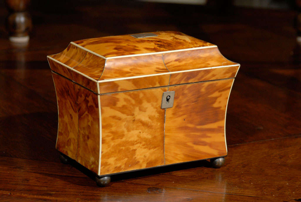 Beautifully shaped tortoise tea caddy with nice color.