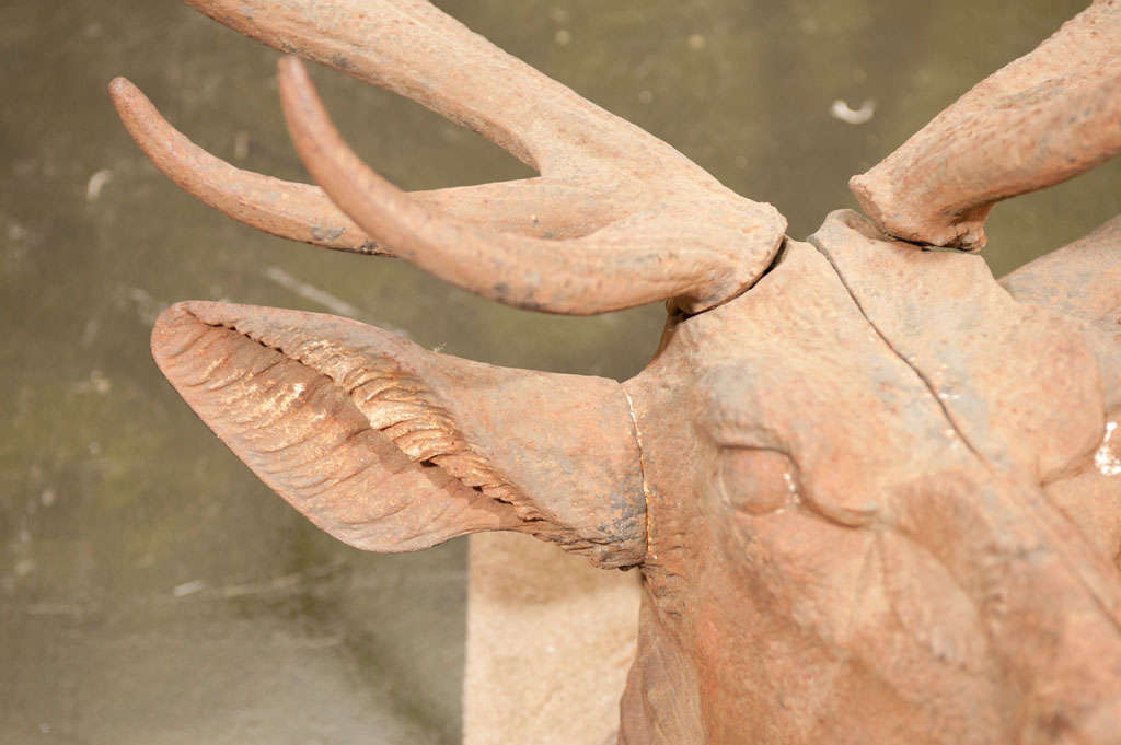 Majestic Cast Iron Elk's Head Wall Mount In Excellent Condition In Toronto, ON