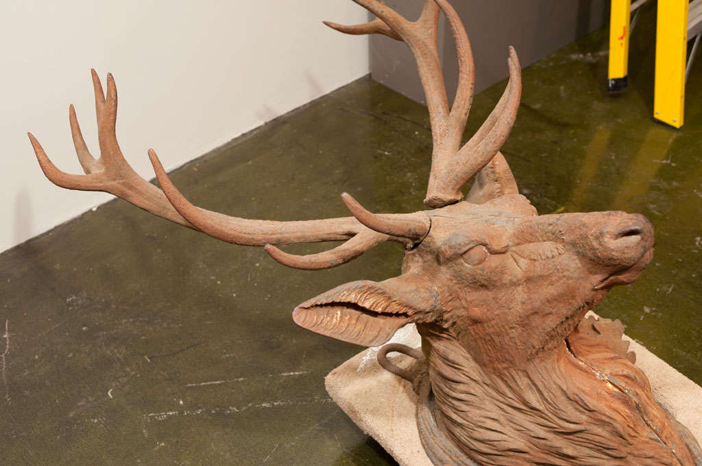 19th Century Majestic Cast Iron Elk's Head Wall Mount