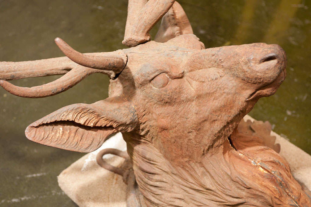 Majestic Cast Iron Elk's Head Wall Mount 1