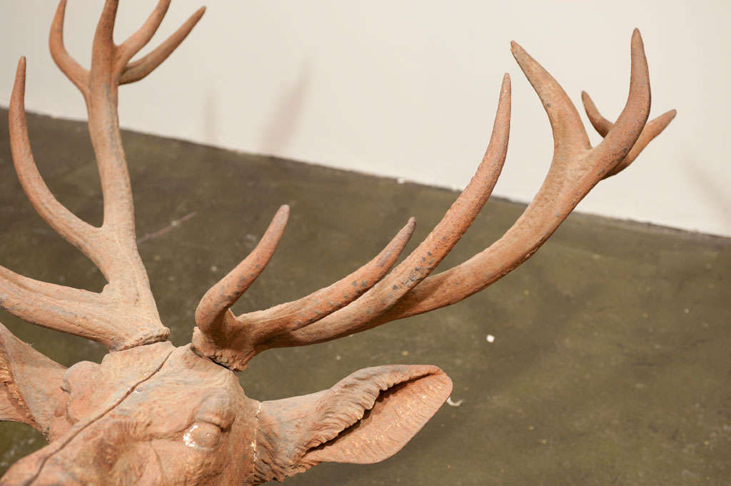 Majestic Cast Iron Elk's Head Wall Mount 2