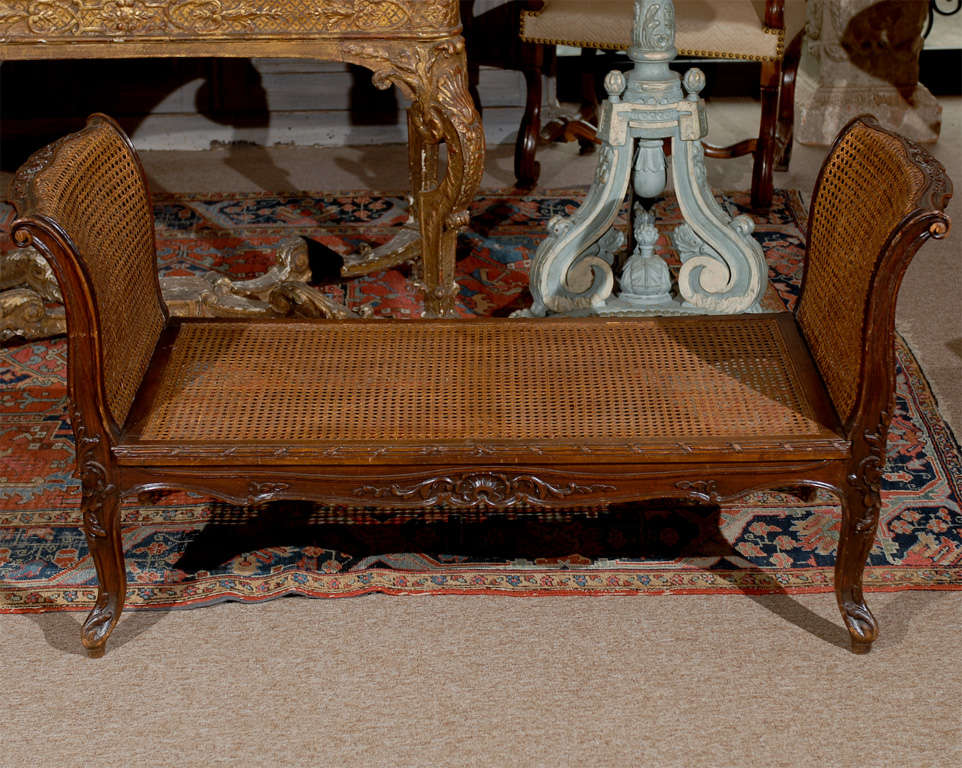 Late 19th Century French Louis XV Style Bench with Cane 2