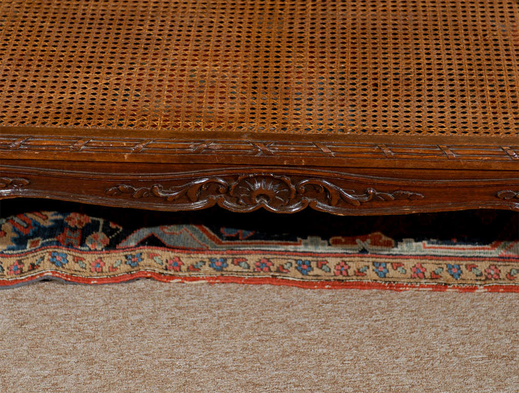 Late 19th Century French Louis XV Style Bench with Cane 4