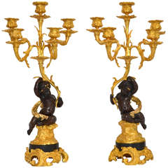 Gorgeous Pair of Bronze Candelabras Louis XV Style