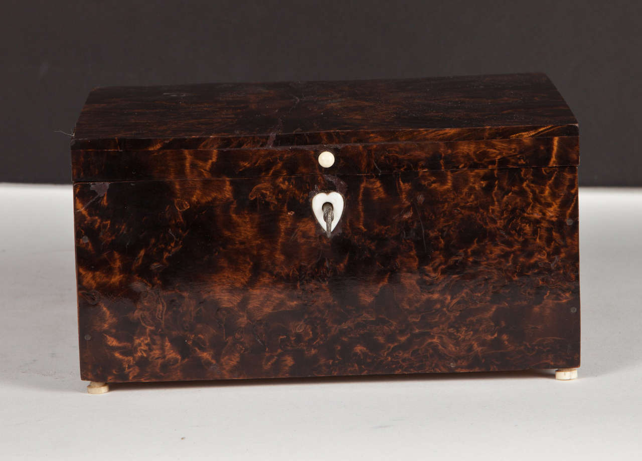 Charming Alder Root Box