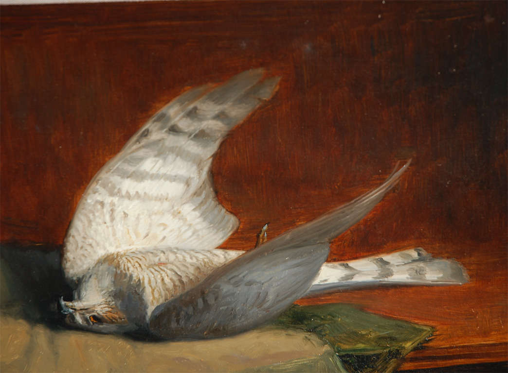 English Original Oil on Canvas of Bird- Signed Still Life