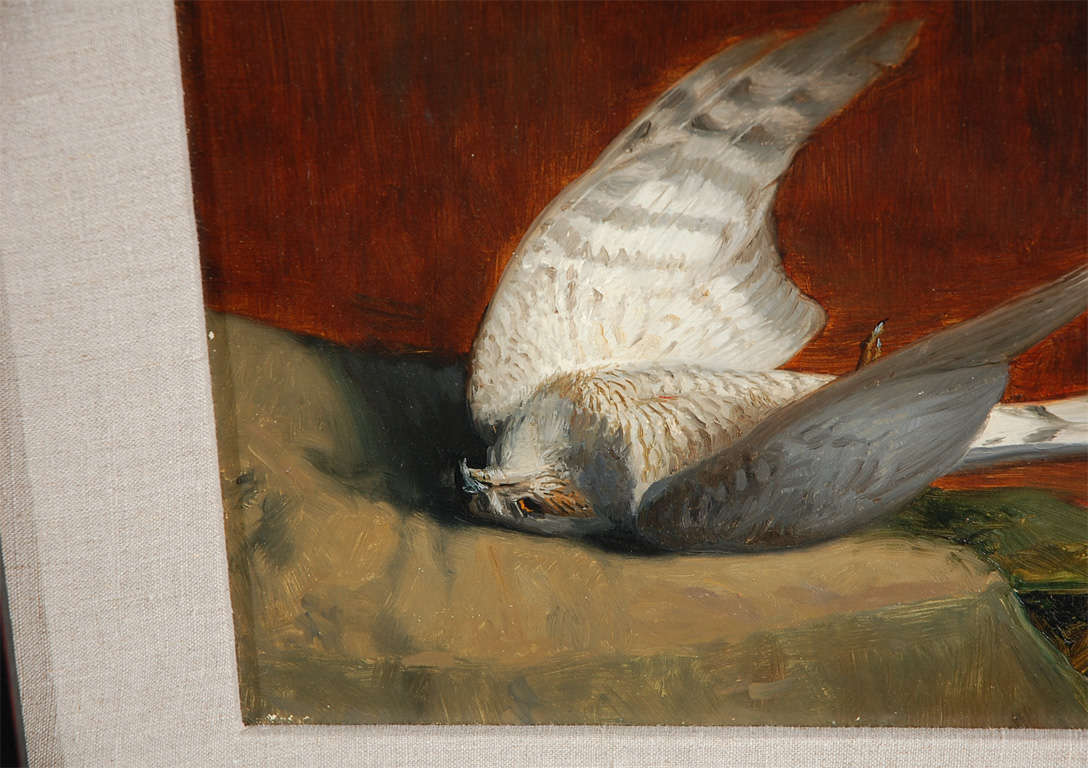 20th Century Original Oil on Canvas of Bird- Signed Still Life