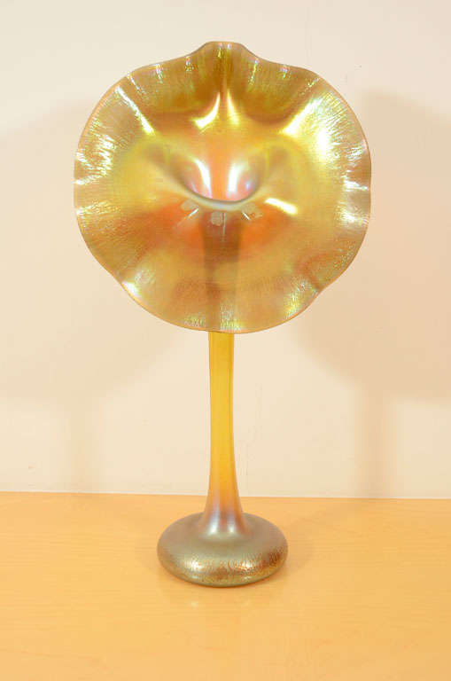 Wonderful large Tiffany glass Favrile Jack-In-The-Pulpit Vase. Gold vivid iridescence with a large ruffled face with stretched iridescence at the rim above a slender neck and cushion base. There is a rim of purple iridescence around the face.