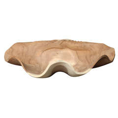 Carved Sea Shell