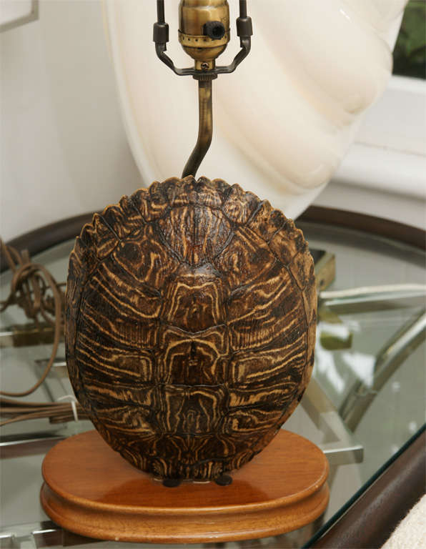 Pair of Turtle Shell Lamps In Excellent Condition In Bridgehampton, NY