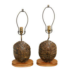 Vintage Pair of Turtle Shell Lamps