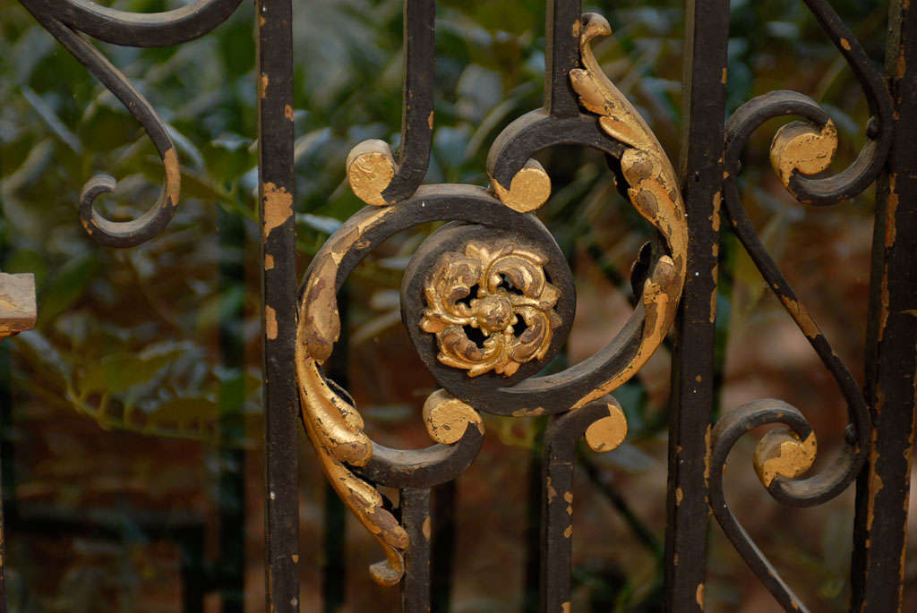 Exceptional French Interior Gate 3