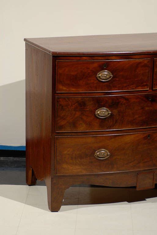 English Regency Bow Front Chest of Mahogany