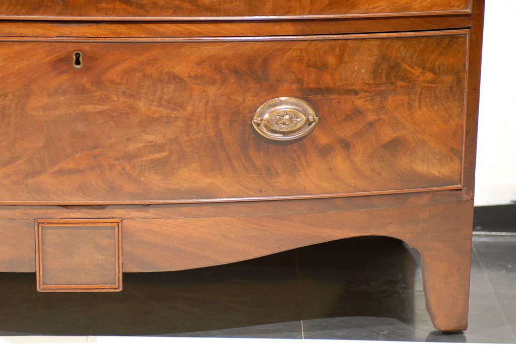 Regency Bow Front Chest of Mahogany 4