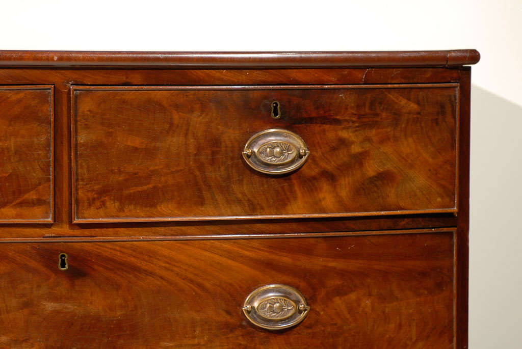 Regency Bow Front Chest of Mahogany 5