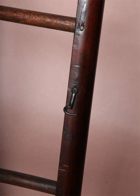 Mahogany Rare Georgian Pole Library Ladder