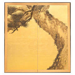 Old Pine Tree