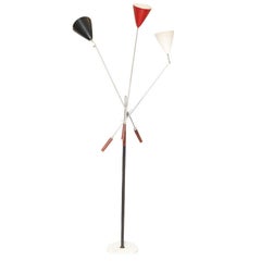 Raymor 3 Arm Floor Lamp